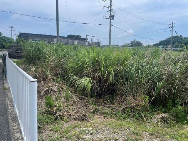 983m² Land for Sale in Nakijin Village, Okinawa - Thumbnail 3