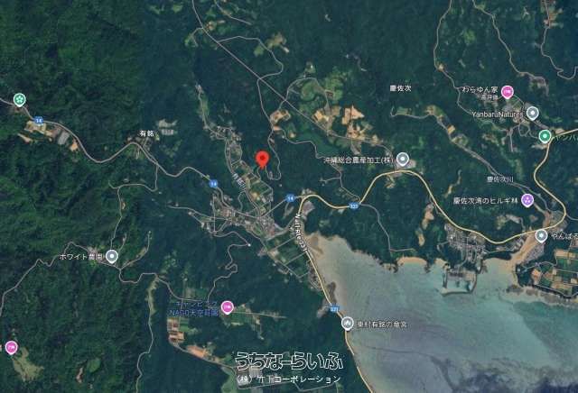 7,531 sqm Agricultural Land for Sale in Higashi Village, Okinawa - Thumbnail 2