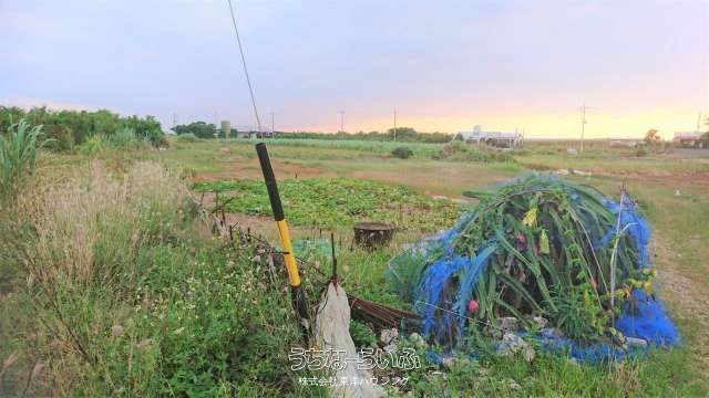 769m² Land for Sale in Kyamu, Itoman City, Okinawa - Thumbnail 3