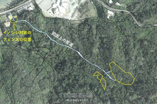 5,026 sqm Jungle Land for Sale in Ogimi Village, Okinawa - Thumbnail 4