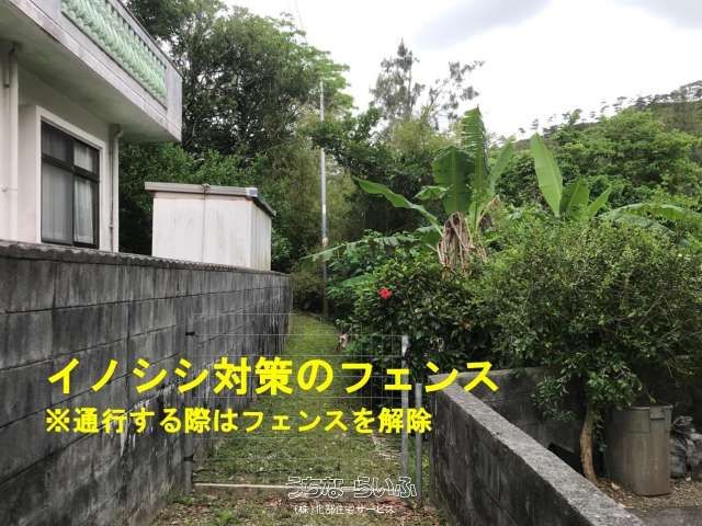 5,026 sqm Jungle Land for Sale in Ogimi Village, Okinawa - Thumbnail 2