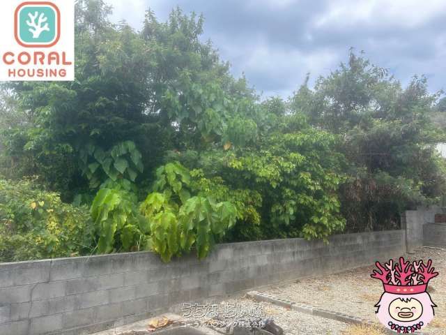 Land for Sale in Heianza, Uruma City, Okinawa - 243.22 sqm - Thumbnail 3