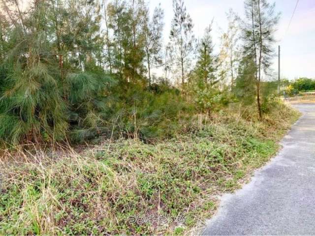 275m² Resort Land for Sale in Onna Village, Okinawa - Thumbnail 2