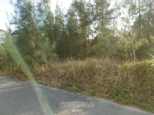 275m² Resort Land for Sale in Onna Village, Okinawa - Thumbnail 4