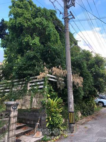 Custom 4-Story Concrete House with Garden in Urasoe, Okinawa - Thumbnail 2