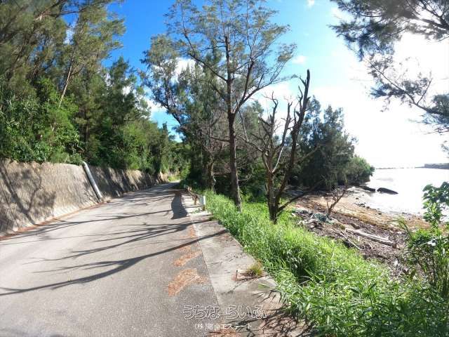 21,779 sqm Ocean View Land for Sale in Uruma, Okinawa - Thumbnail 4