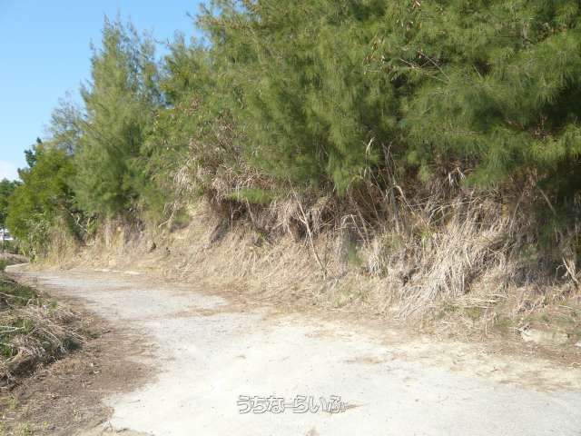 20,461 sqm Land for Sale with Ocean Views in Uruma, Okinawa - Thumbnail 3