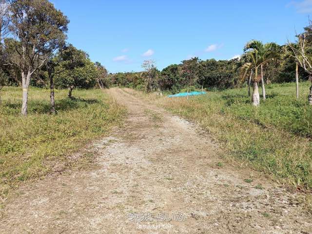 29,357 sqm Agricultural Land for Sale in Uruma City, Okinawa - Thumbnail 4