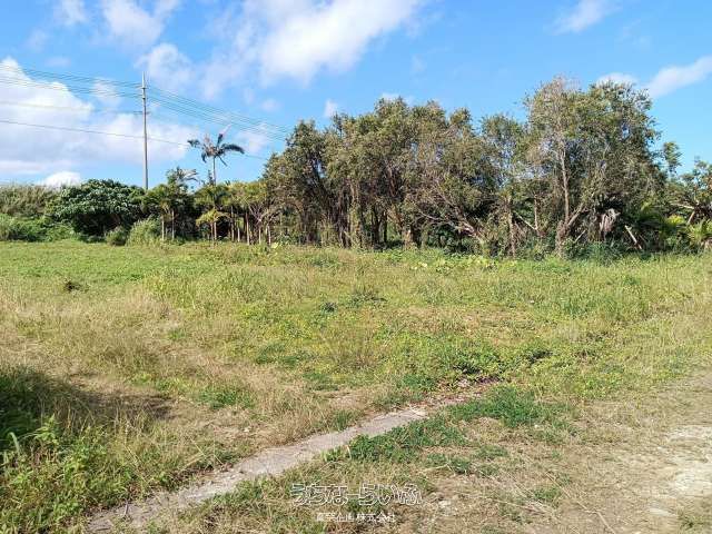 29,357 sqm Agricultural Land for Sale in Uruma City, Okinawa - Thumbnail 3