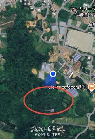 10,498 sqm Land for Sale in Nakijin Village, Okinawa - Thumbnail 3