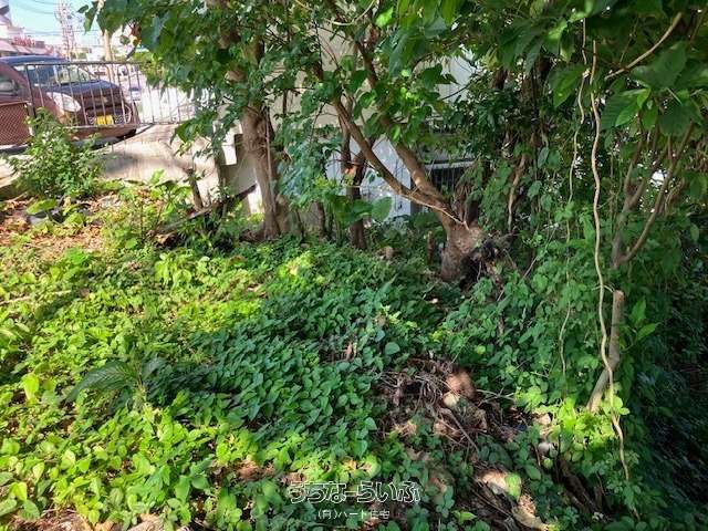 127m² Commercial Land for Sale in Uruma City, Okinawa - Thumbnail 4
