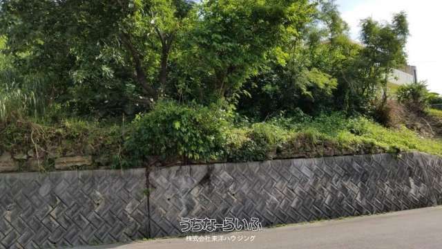 2035sqm Land for Sale in Yaese Town, Okinawa - Panoramic Views - Thumbnail 4