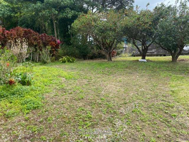 90 Tsubo Land for Sale in Motobu, Okinawa - Prime Roadside Location - Thumbnail 2