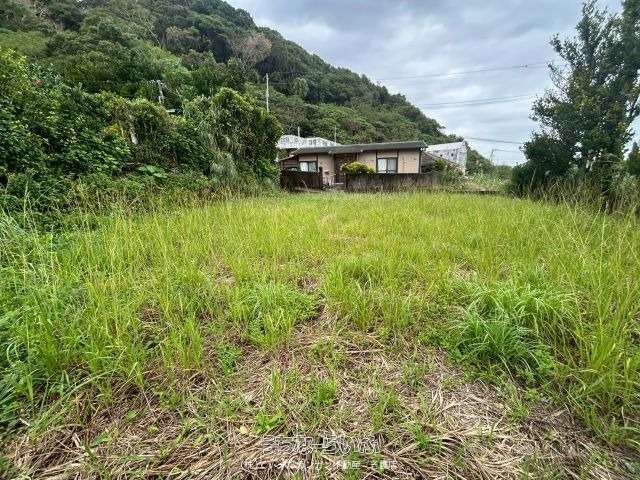 295.51 sqm Land for Sale in Yona, Kunigami Village, Okinawa - Thumbnail 2