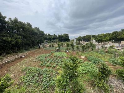 Motobu Town Sesoko / 1358.78m² / 411.03 tsubo / Land for sale for 32 million yen | Okinawa real estate information [Uchinaa Life] (t-5988-6210305-0646) — Image 3, Motobu, Okinawa