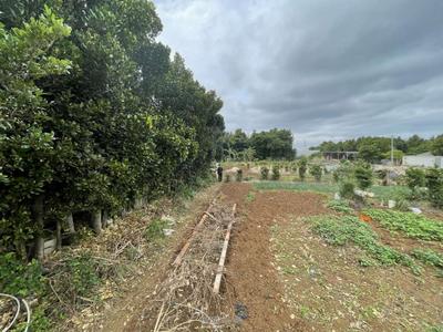 Motobu Town Sesoko / 1358.78m² / 411.03 tsubo / Land for sale for 32 million yen | Okinawa real estate information [Uchinaa Life] (t-5988-6210305-0646) — Image 2, Motobu, Okinawa