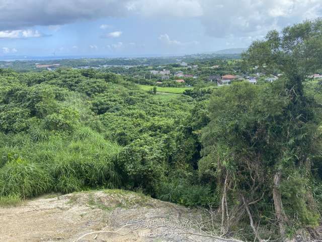 35,795 sqm Land for Sale in Nakijin, Okinawa with Ocean Views - Thumbnail 3