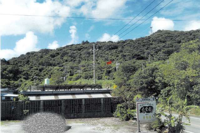 35,795 sqm Land for Sale in Nakijin, Okinawa with Ocean Views - Image 1