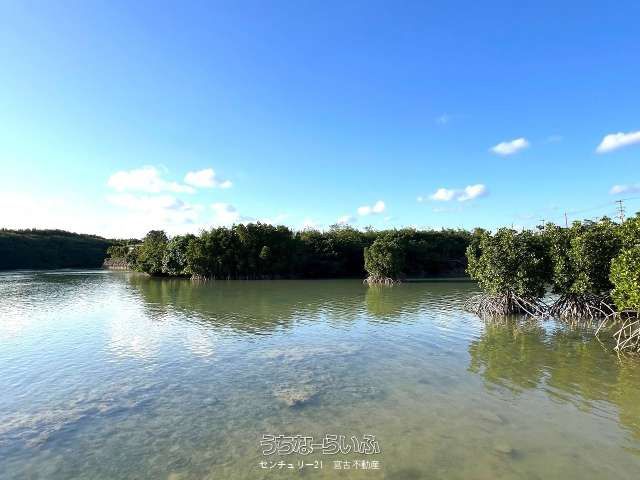 Land for Sale in Miyakojima, Okinawa - Resort Development Potential - Thumbnail 2