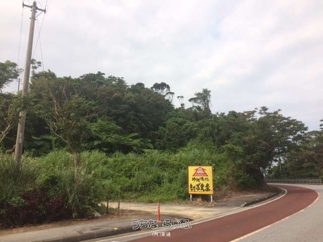 13,500 Tsubo Development Land for Sale in Motobu, Okinawa - Image 1