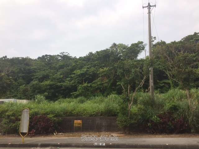 13,500 Tsubo Development Land for Sale in Motobu, Okinawa - Thumbnail 2