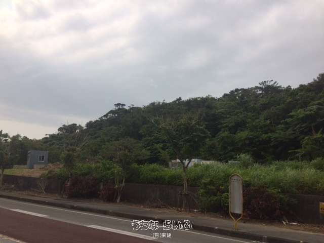 13,500 Tsubo Development Land for Sale in Motobu, Okinawa - Thumbnail 3