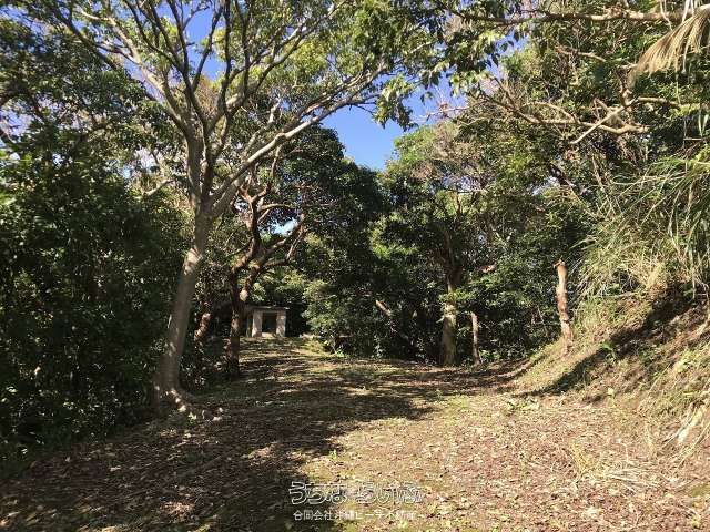 395㎡ Land for Sale in Nanjo City, Okinawa with Panoramic Views - Thumbnail 3
