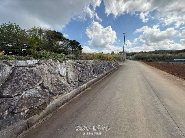 339 sqm Land for Sale in Nakijin Village, Okinawa - Thumbnail 3
