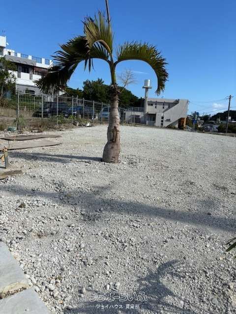 247.93㎡ Rental Land in Koji, Nishihara, Okinawa - Thumbnail 4