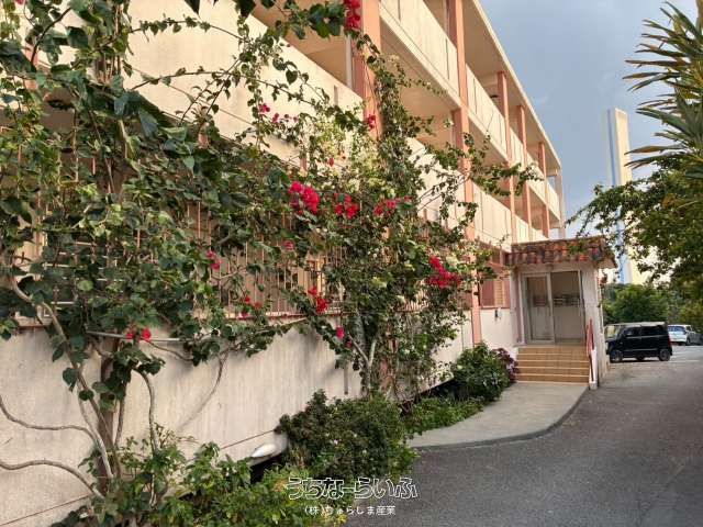 15-Unit Ayaman Apartments for Sale in Kin, Okinawa - Investment Property - Thumbnail 3