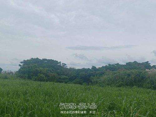 2430 sqm Land for Sale in Yosa, Yaese Town, Okinawa - Thumbnail 3