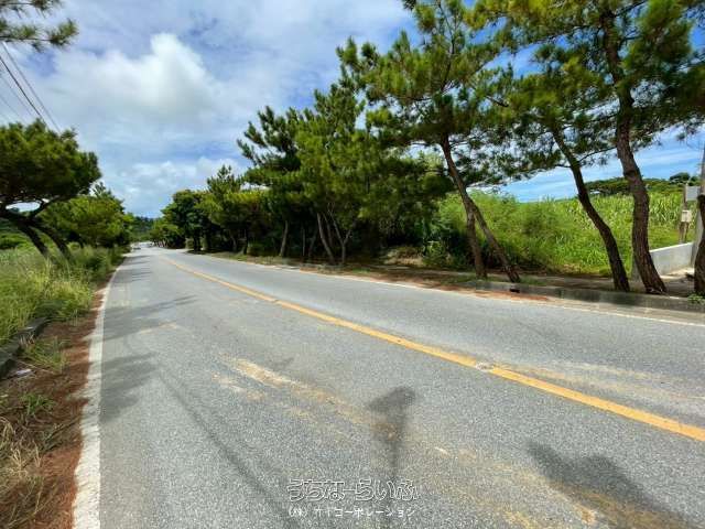 4039 sqm Flat Land for Sale in Miyakojima City, Okinawa - Thumbnail 2
