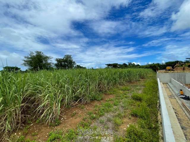 4039 sqm Flat Land for Sale in Miyakojima City, Okinawa - Thumbnail 4
