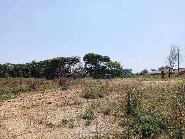 1120 Tsubo Land for Sale in Nakijin Village, Okinawa - Thumbnail 3