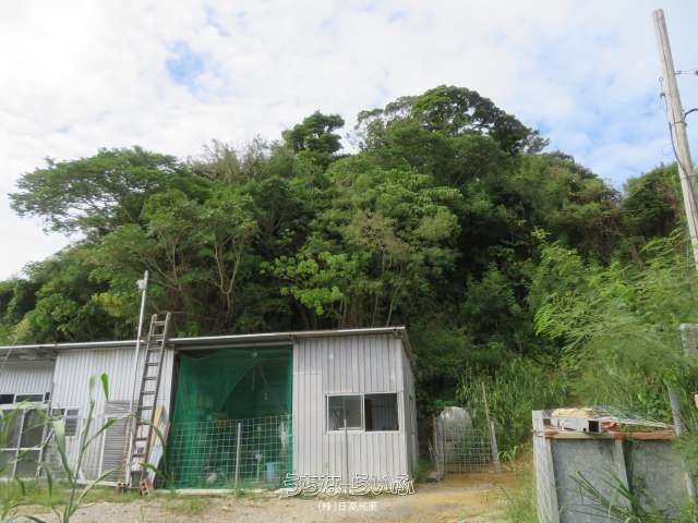 Land Lease in Nakijin Village, Okinawa - 3.584 sqm for Business/Yard - Thumbnail 3