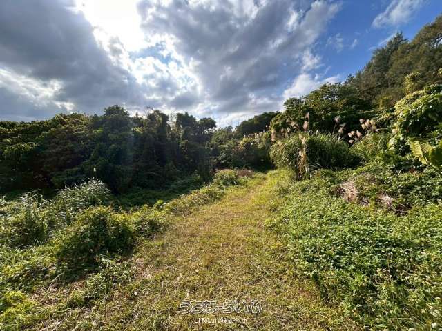 429 sqm Land for Sale in Maeda, Onna Village, Okinawa - Thumbnail 3