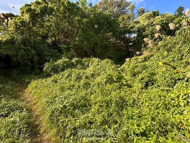 429 sqm Land for Sale in Maeda, Onna Village, Okinawa - Thumbnail 4