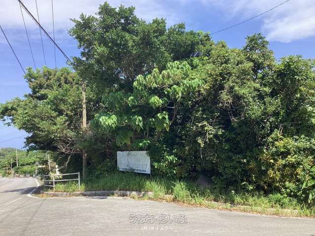 Land for Sale in Hiyajo, Kumejima Town, Okinawa - Thumbnail 3