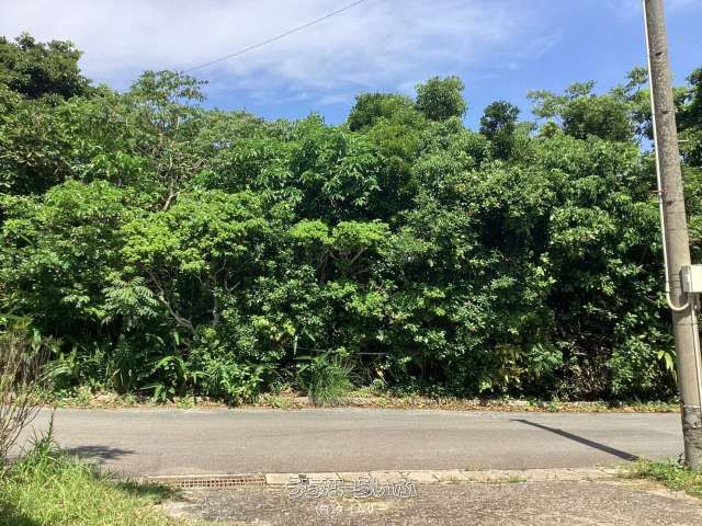 Land for Sale in Hiyajo, Kumejima Town, Okinawa - Thumbnail 2