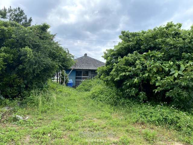 Land for Sale in Kunigami Village, Okinawa - 2323 sqm Plot - Thumbnail 3