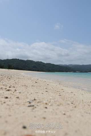 Land for Sale in Kunigami Village, Okinawa - 2323 sqm Plot - Thumbnail 4