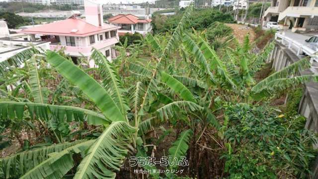 526.98m² Land for Sale in Tomigusuku, Okinawa - Residential Buildable Plot - Thumbnail 2