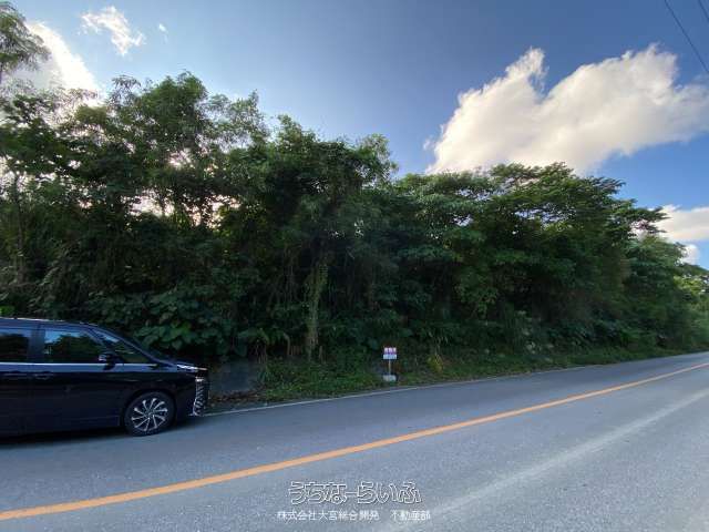 Large 14,439 sqm Land for Sale in Nago, Okinawa Near Future Theme Park - Thumbnail 3