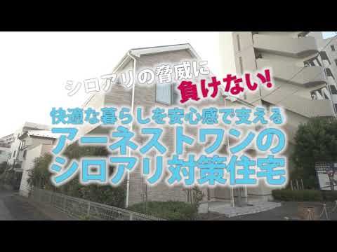 New 4LDK House in Ginowan, Okinawa - Cradle Garden Uehara - Thumbnail 3