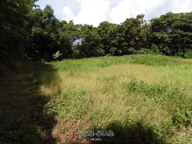 5158 sqm Forest Land for Sale in Nakijin, Okinawa - Thumbnail 3