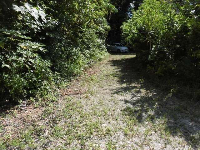 5158 sqm Forest Land for Sale in Nakijin, Okinawa - Thumbnail 4
