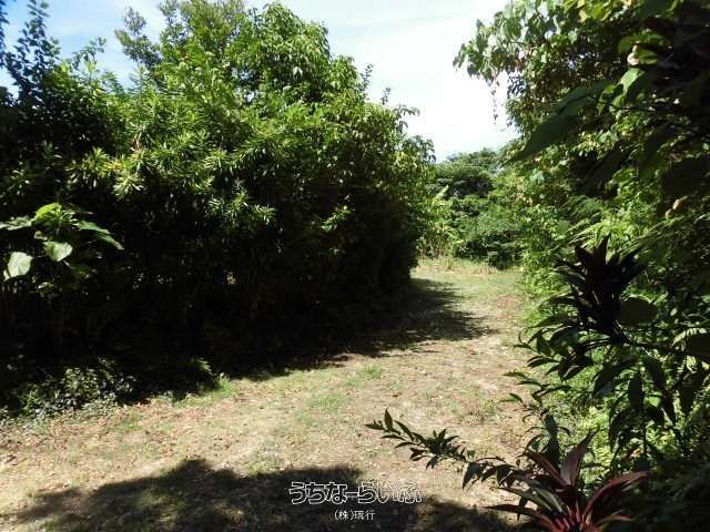 5158 sqm Forest Land for Sale in Nakijin, Okinawa - Thumbnail 2