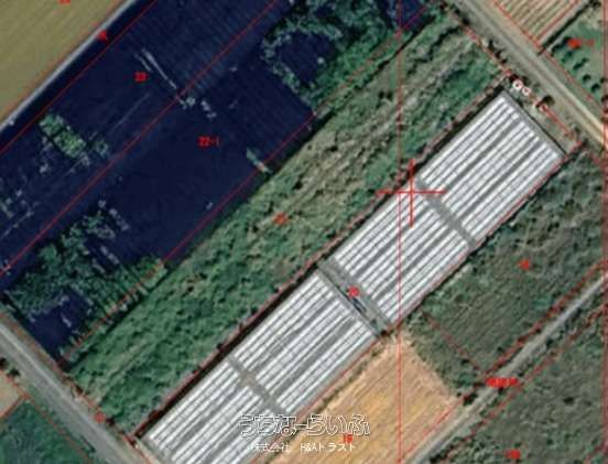 614 Tsubo Agricultural Land for Sale in Nago City, Okinawa - Thumbnail 4