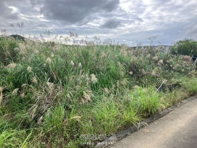 614 Tsubo Agricultural Land for Sale in Nago City, Okinawa - Image 1