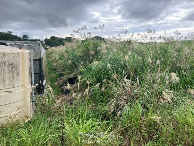 614 Tsubo Agricultural Land for Sale in Nago City, Okinawa - Thumbnail 3